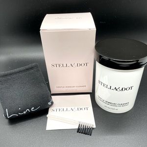 Jewelry Cleaner